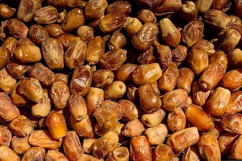 تصویر 4 از خرما زاهدی قصب با طعم شیرین و بافت نیمه خشک